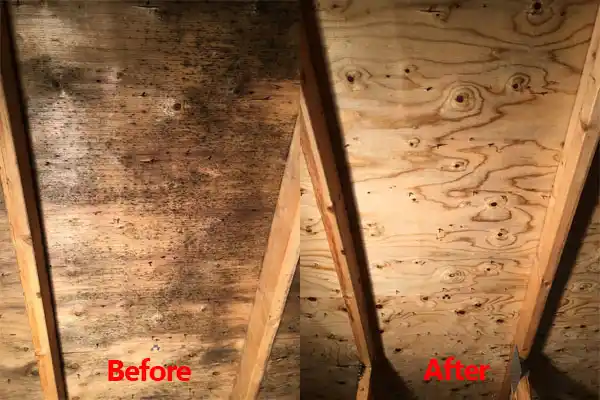 water damage restoration service Queen City